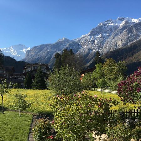 Holidayapartment Sydach Wilderswil Kültér fotó