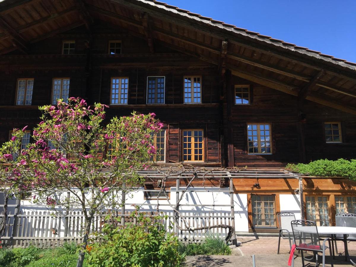 Holidayapartment Sydach Wilderswil Kültér fotó